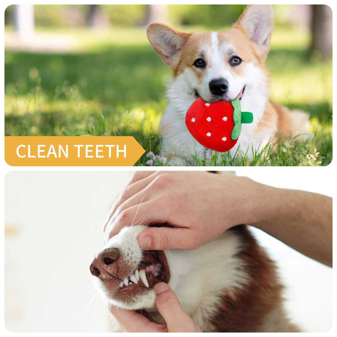 12 Pack Puppy Teething Toys for Small Dogs - Plush Squeaky & Rope Chew Set Bundle, Safe Durable and Non-Toxic for Interactive Play and Dental Health