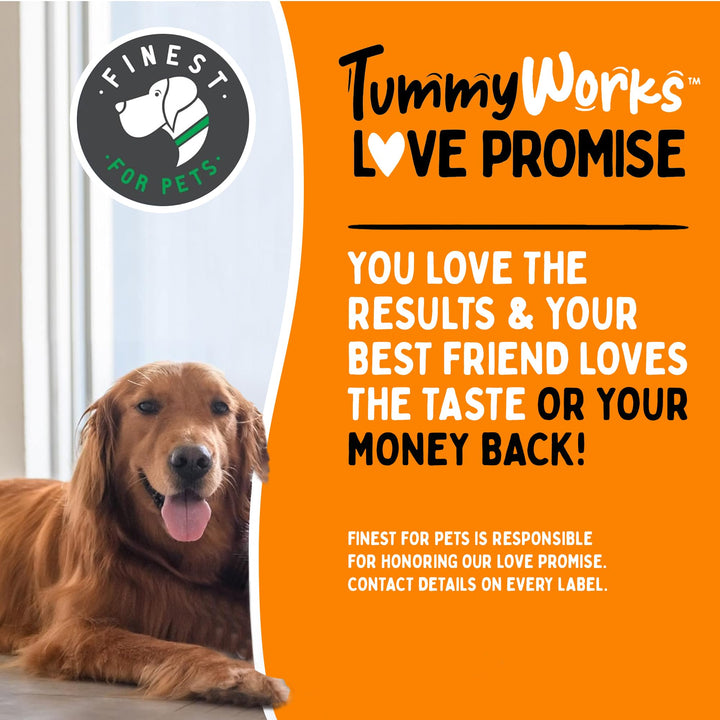 TummyWorks Probiotic 120 Soft Chews for Dogs All Ages - Supports Digestive Health, Relieves Diarrhea, Constipation, Good for Itching, Allergies, Yeast Infections. Added Digestive Enzymes, Made in USA