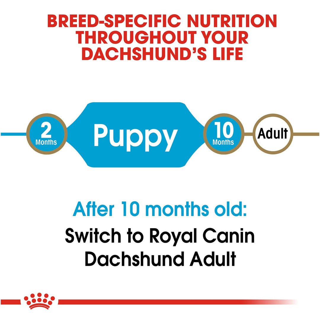 Dachshund Puppy Breed Specific Dry Dog Food, 2.5 lb bag
