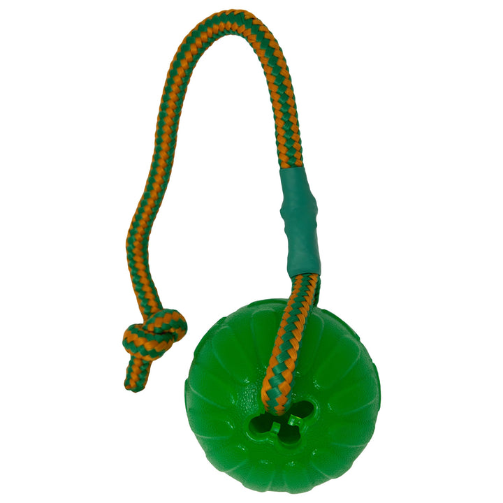 Everlasting Fun Ball on a Rope Dog Toy,Greens,Medium/Large