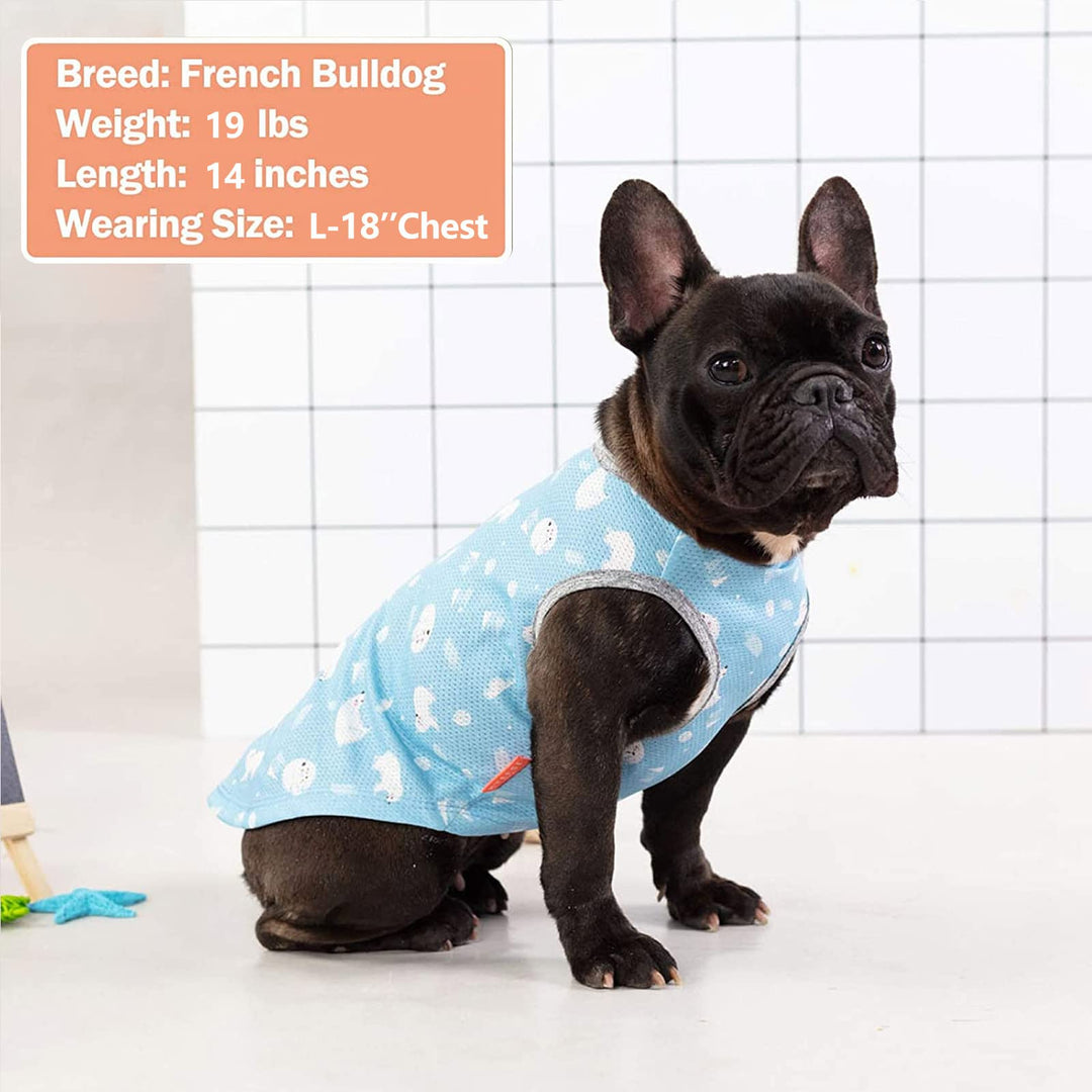 2 Pack Dog Cooling Shirts Breathable Instant Cooling Dogs Vest Lightweight for Summer Dog Clothes X-Large (18-24lbs)