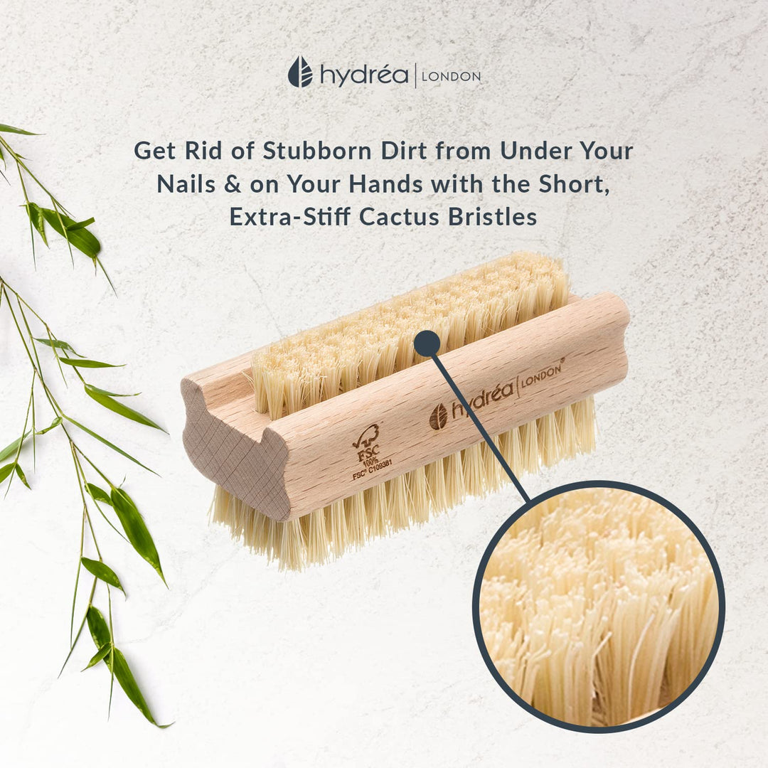 Nail Brush - Double-Sided Pedicure & Manicure Brush with Natural Cactus Bristles - 100% Vegan Hand Scrub, Fingernail Cleaner, & Tough Toenail Cleaning Scrubber - FSC® Certified Beechwood
