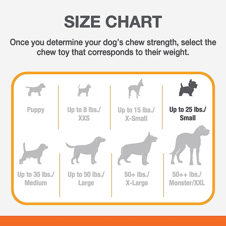 Textured Dental Bone Power Chew Toy for Dogs, Dog Toys for Aggressive Chewers, Flavor Medley Flavor, Small - Up to 25 Ibs, 1 Count