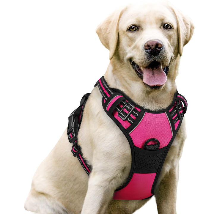 Dog Harness No Pull with 2 Leash Clips, Adjustable Soft Padded, Reflective Oxford No Choke Pet Vest with Easy Control Handle for Large Dogs, Hot Pink, L