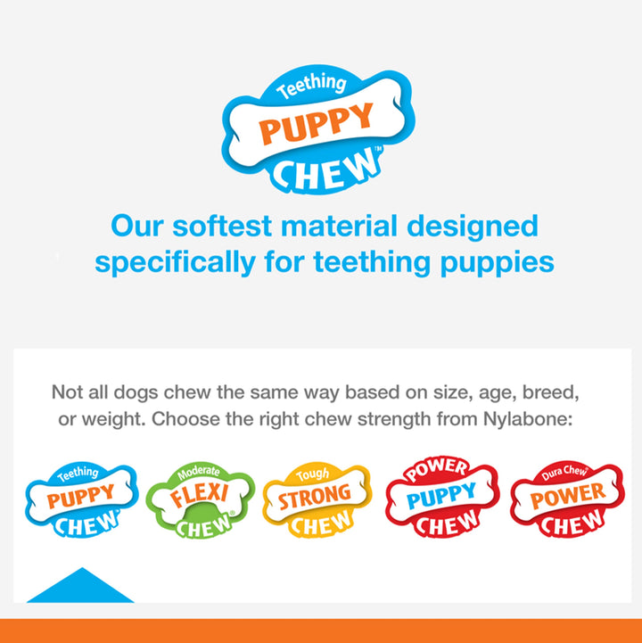 New Puppy Starter Kit, 5 Chew Toys and 1 Natural Treat for Puppies, Multi Color, Bacon & Chicken Flavor, Small - Up to 25 lbs, 6 Pack