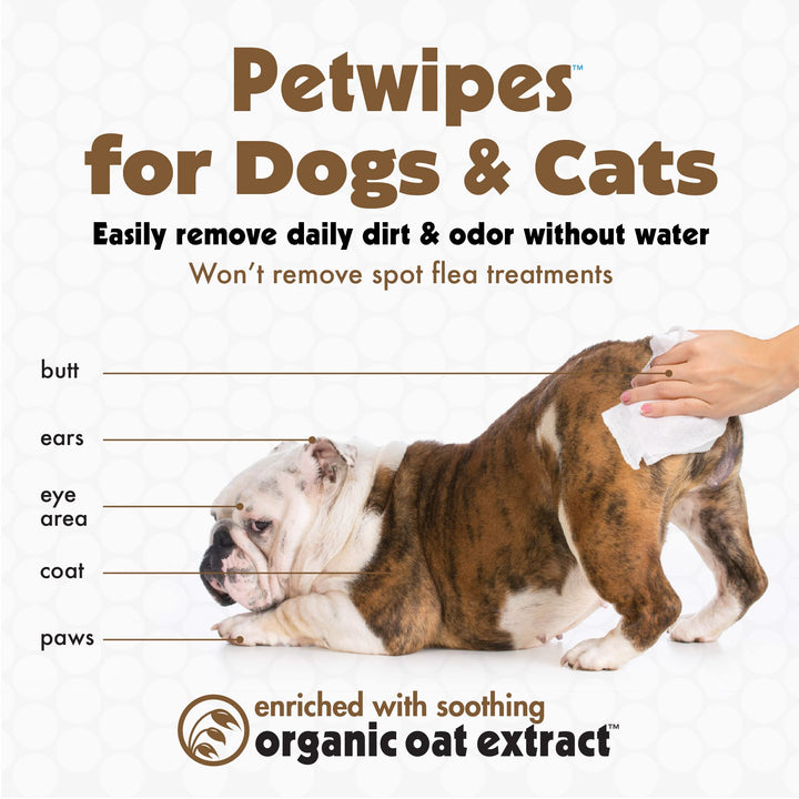 Pet Wipes for Dogs and Cats, 200 Wipes (Large) – Oatmeal Pet Wipes for Dogs and Cats – Soothes Itchy Dry Skin and Cleans Ears, Face, Butt, Body and Eye Area – 2 Packs of 100 Wipes
