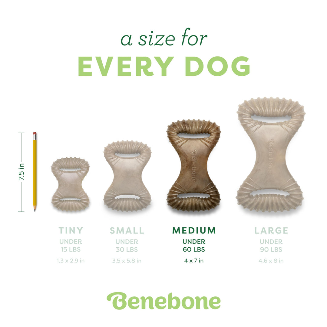 Dental Durable Dog Chew Toy for Aggressive Chewers, Real Bacon, Made in USA, Medium