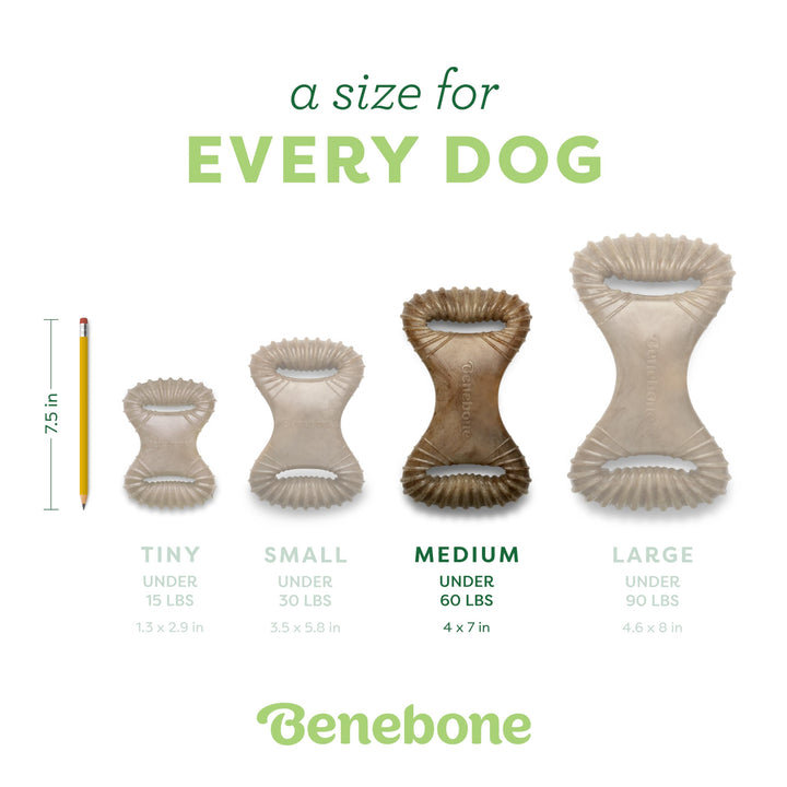 Dental Durable Dog Chew Toy for Aggressive Chewers, Real Bacon, Made in USA, Medium
