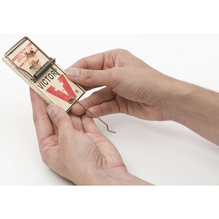 Metal Pedal Mouse Trap - M023 - Wood Mouse Trap, Brown, 2 Count (Pack of 1)
