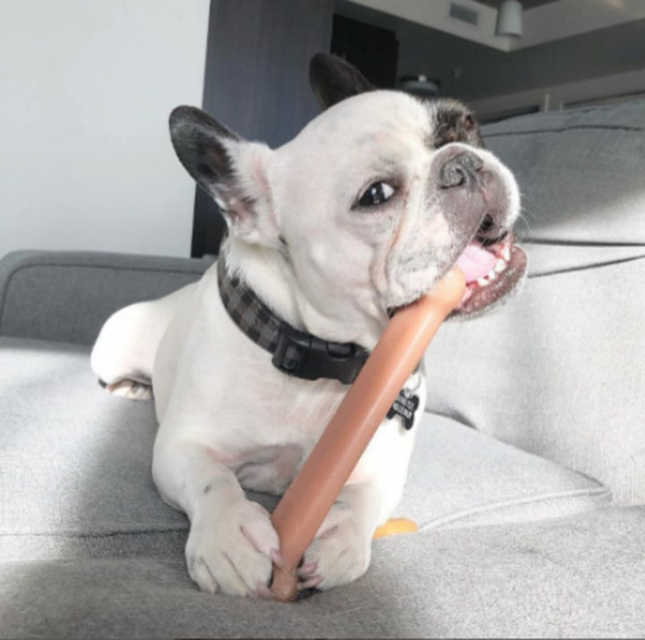 Power Chew Classic Bone Chew Toy for Dogs, Durable Dog Toys for Aggressive Chewers, Bacon Flavor, Large/Giant - Up to 50 lbs. (1 Count)