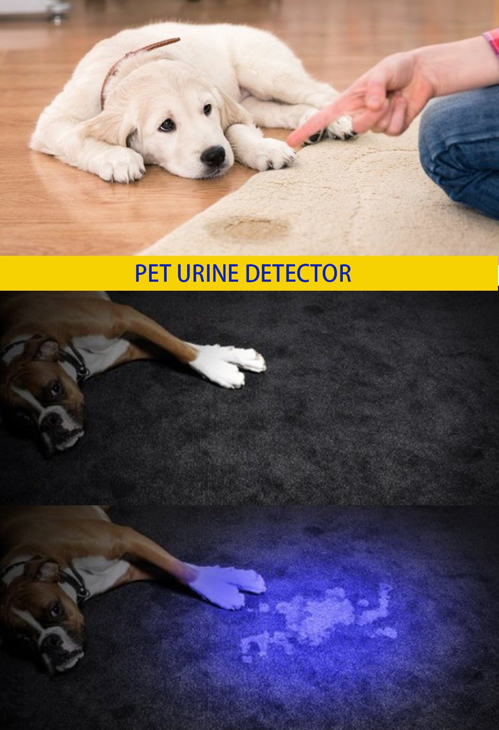 UV Light Rechargeable USB Flashlight 395nm Blacklight Ultraviolet Wood's Lamp LED Portable Mini Handheld Pocket Torch Detector for Dog Urine Pet Stains Anti-counterfeiting, Resin Curing