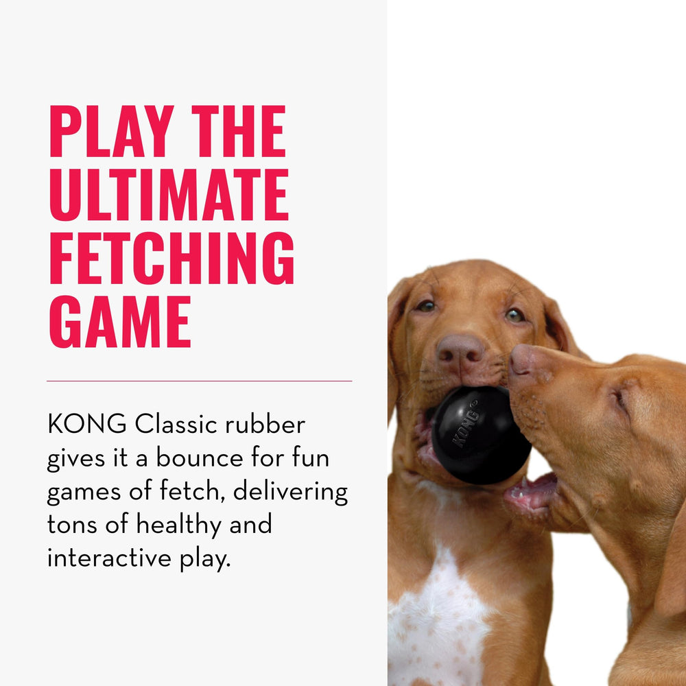 Extreme Ball with Hole - Fetch Toy - Durable Dog Toy for Training, Interactive Playtime & More - Natural Extreme Rubber Ball - Black - For Small Dogs
