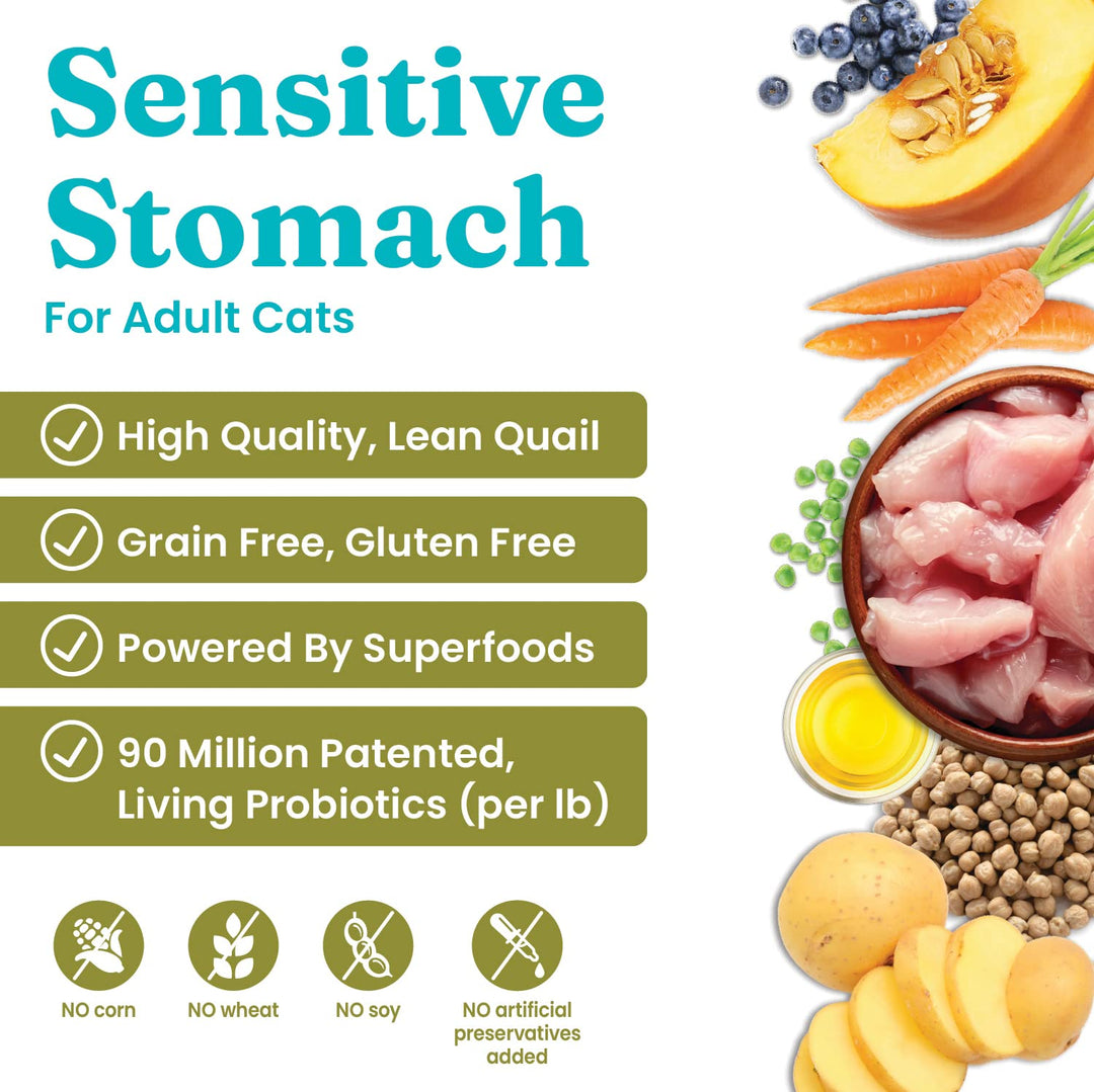 Sensitive Stomach Dry Cat Food - Made with Real Quail & Pumpkin - Winged Tiger Grain Free Cat Food Sensitive Stomach for Adult & Senior Cats - Supports Immune & Digestive Health - 6lb