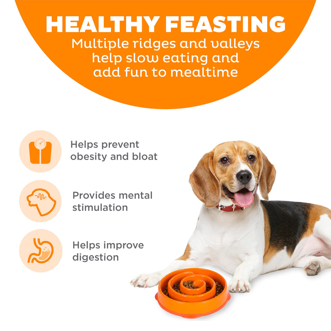 Fun Feeder Slow Bowl in Orange Plastic for Dogs