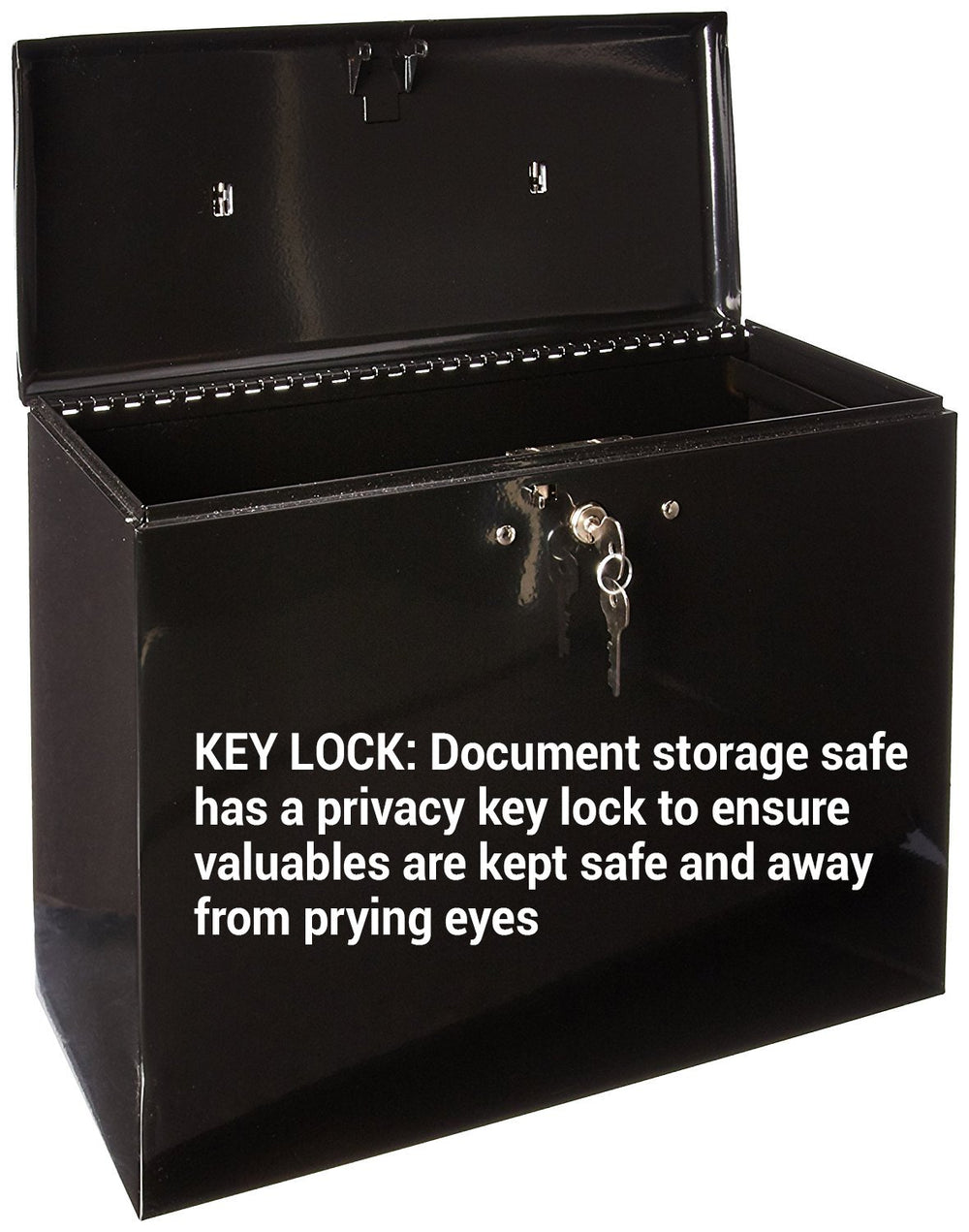 File Box with Lock, Large Locking for Documents, Steel Keys, 7148D