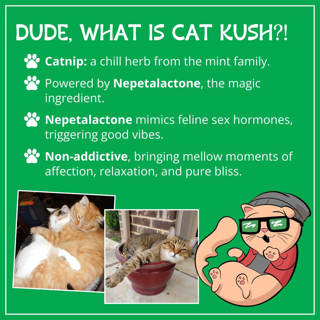 Organic Catnip , Safe Premium Blend Perfect for Cats, Instilled with Maximized Potency your Kitty is Guaranteed to Go Crazy for! (1 Cup)
