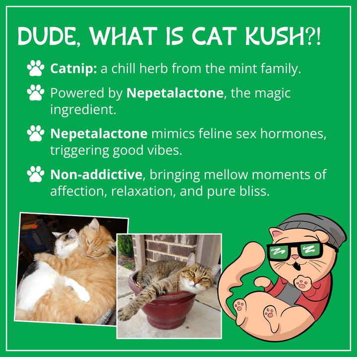 Organic Catnip , Safe Premium Blend Perfect for Cats, Instilled with Maximized Potency your Kitty is Guaranteed to Go Crazy for! (1 Cup)