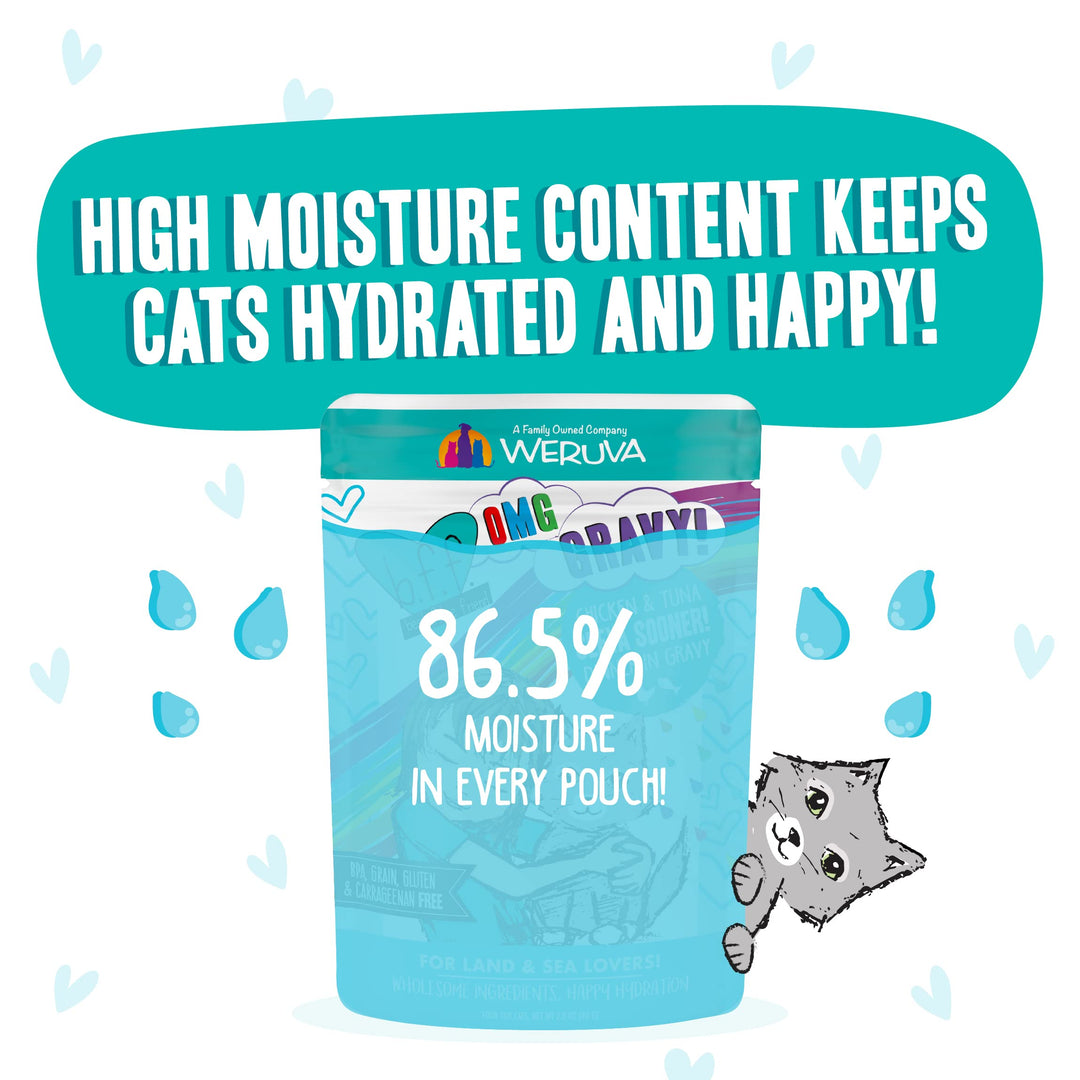 B.F.F. OMG - Best Feline Friend Oh My Gravy!, Seeya Sooner! with Chicken & Tuna in Gravy Cat Food, 2.8oz Pouch (Pack of 12)