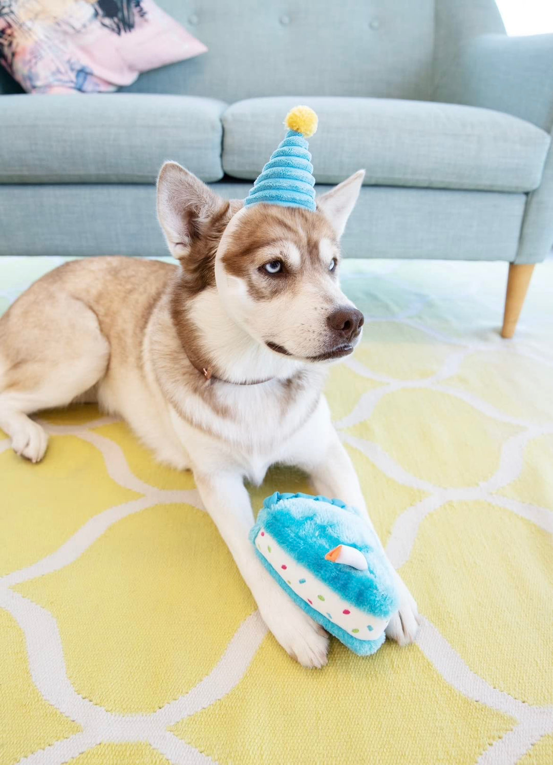 Birthday Cake- Dog Squeaky Toys to Keep Them Busy, Funny Food Plush for Small, Medium, & Large Dogs, Cute Stuffed Puppy Toy, Pet Products, Gift for Dogs of All Breeds, Soft and Cuddly- Blue