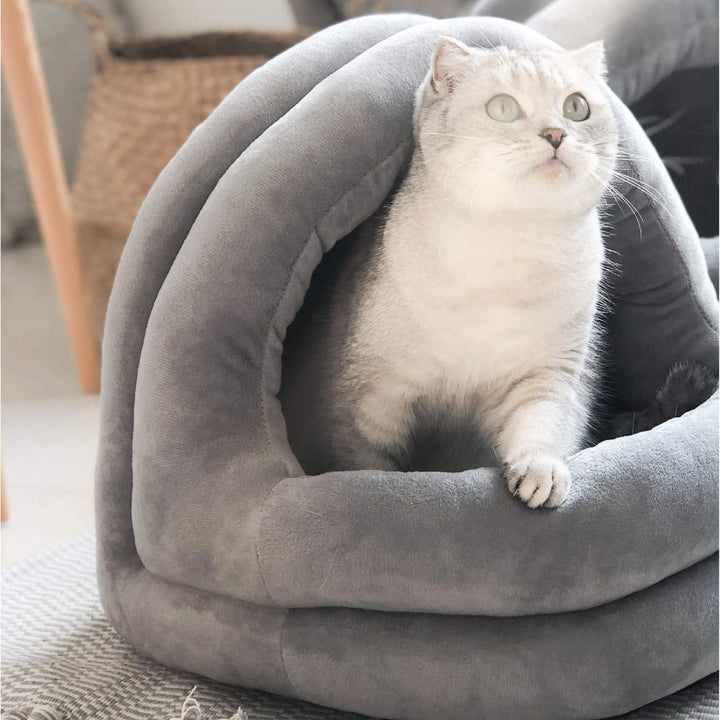 Cat Bed, Machine Washable for Indoor Cats or Small Dogs, Puppy, Kitty, Kitten, Rabbit, Anti-Slip & Water-Resistant Bottom
