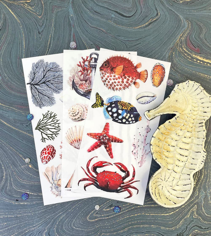 Redesign With Prima TRANSFERS 6X12 3/PKG, Amazing Sea Life