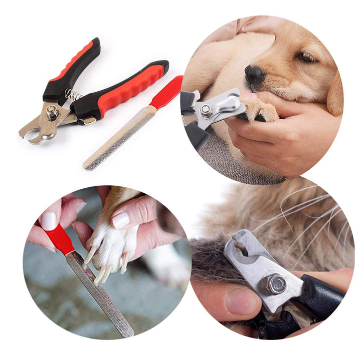 Dog Nail Clippers and Trimmer with Safety Guard to Avoid Over-Cutting Professional Pet Nail Clipper Quick Sensor for Dogs or Cats