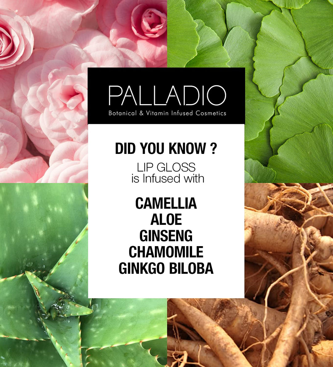 Lip Gloss, French Kiss