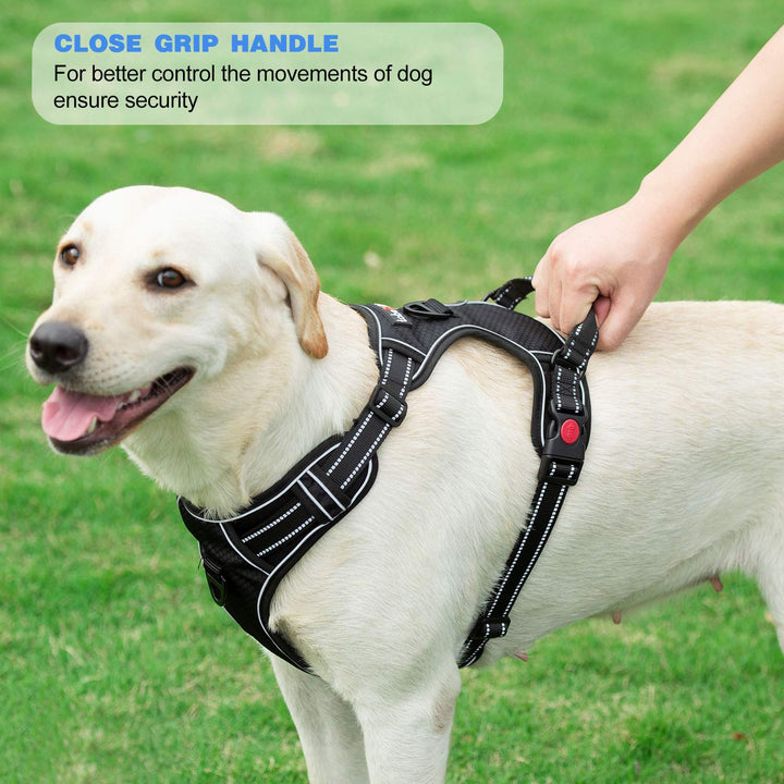 No Pull Dog Harness Adjustable Reflective Oxford Easy Control Medium Large Dog Harness with A Free Heavy Duty 5ft Dog Leash (L (Neck: 18-25.5, Chest: 24.5-33), Blue Harness+Leash)
