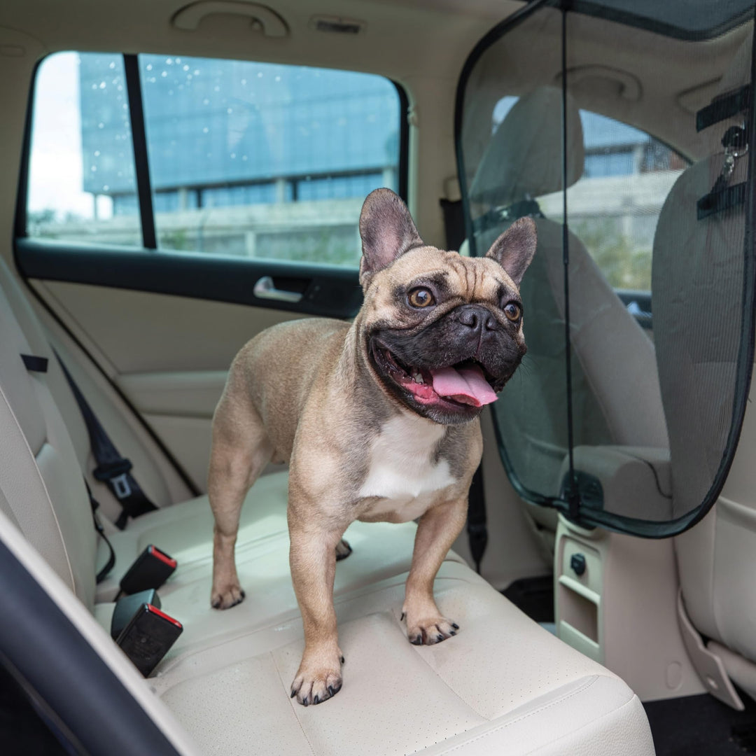 Happy Ride Dog Barrier, Front Seat Barrier, For Cars, Trucks and SUVs Happy Ride Dog Barrier, Front Seat Barrier, For Cars, Trucks and SUV