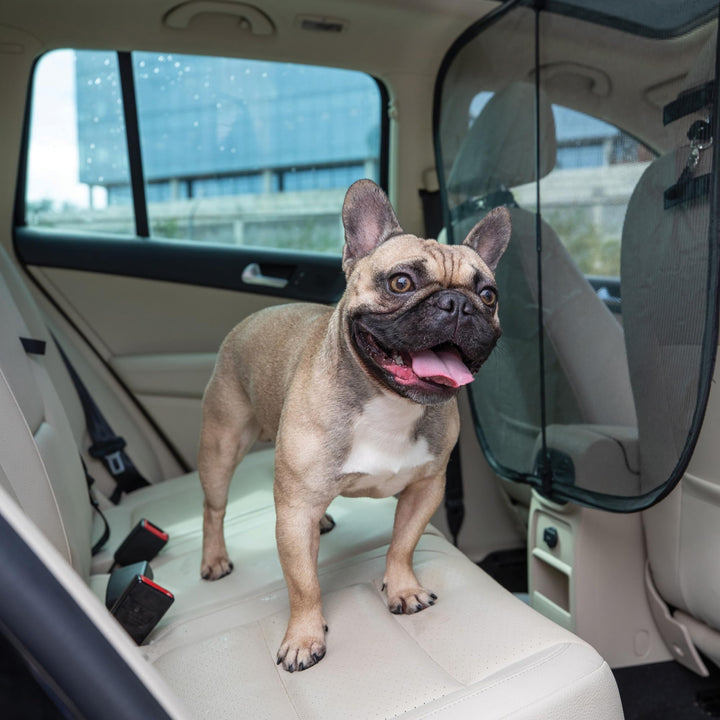 Happy Ride Dog Barrier, Front Seat Barrier, For Cars, Trucks and SUVs Happy Ride Dog Barrier, Front Seat Barrier, For Cars, Trucks and SUV