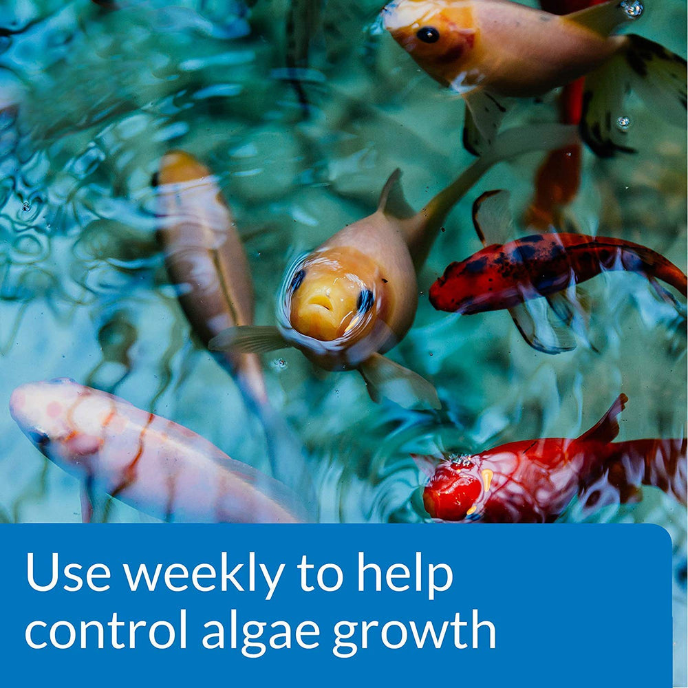 API POND ALGAEFIX Algae Control 64-Ounce Bottle (FF-169D)