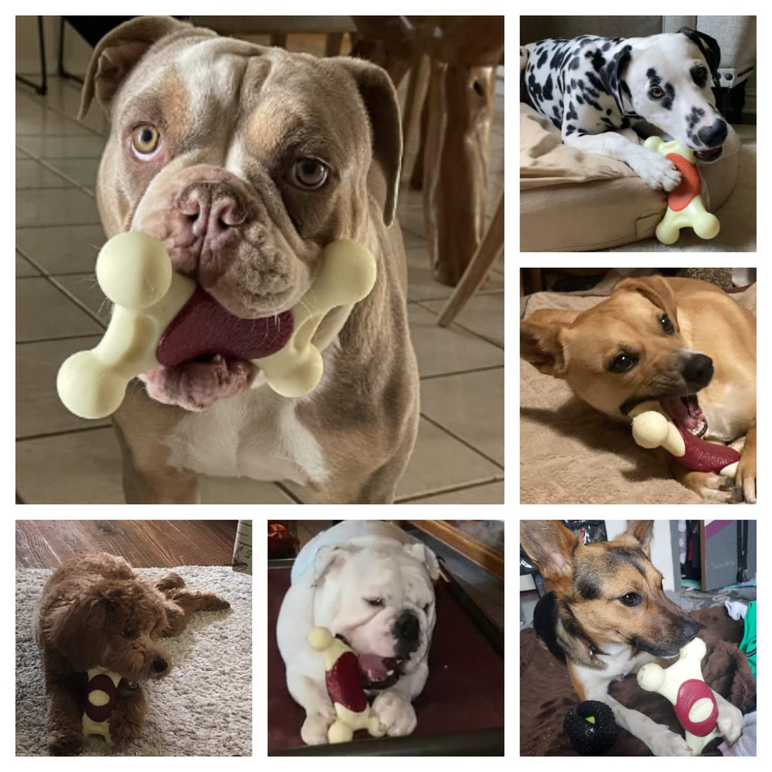 Dog Toys for Aggressive Chewers,Indestructible Dog Toys,Real Bacon Flavored, Nylon Tough Dog Chew Toys for Medium/Large Large Breed Dogs (Other)