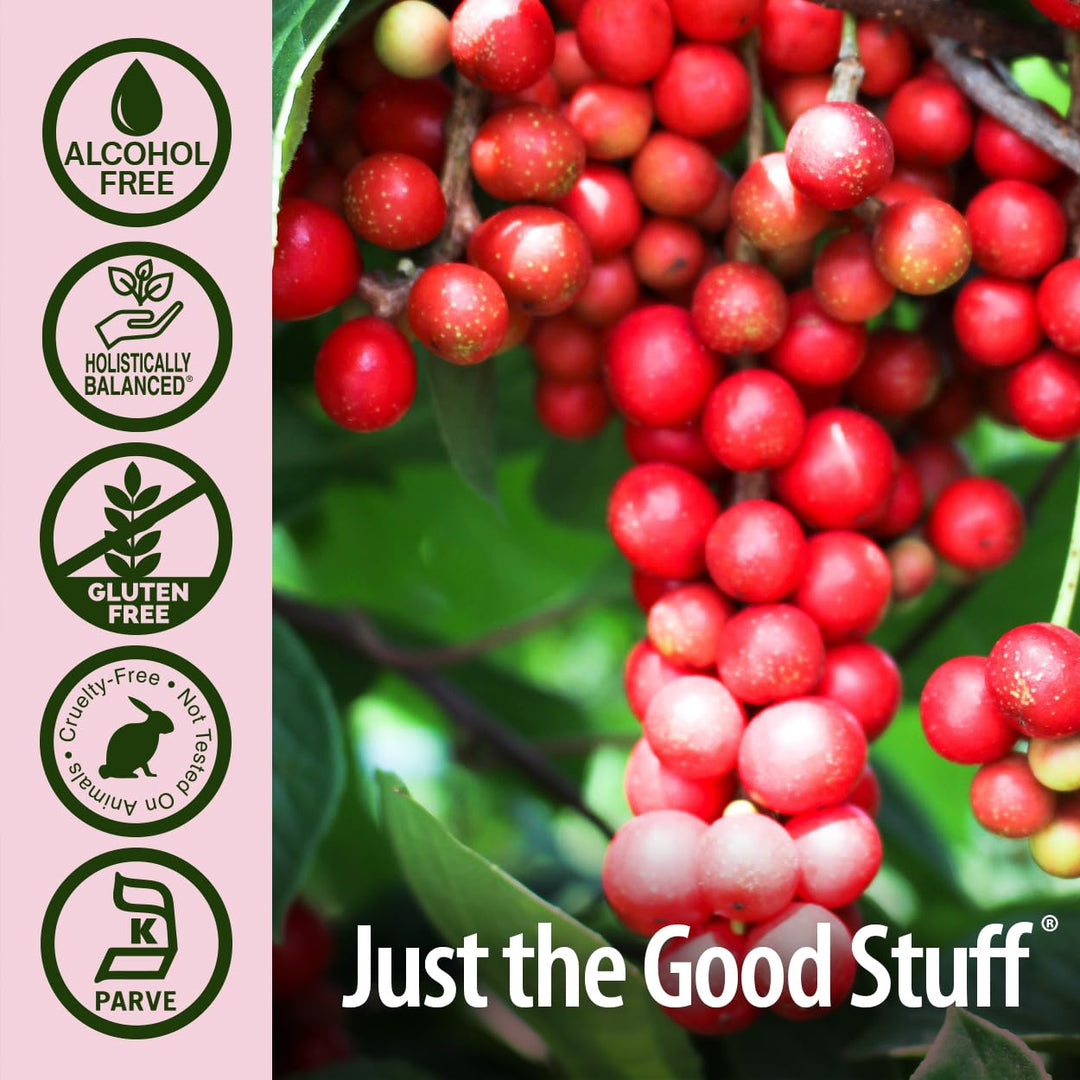 Nature's Answer Schisandra Berry Extract - Alcohol Free, Gluten Free, Stress, Fatigue, Relaxing Support - Made in USA - Adrenal Support Supplements for Everyone