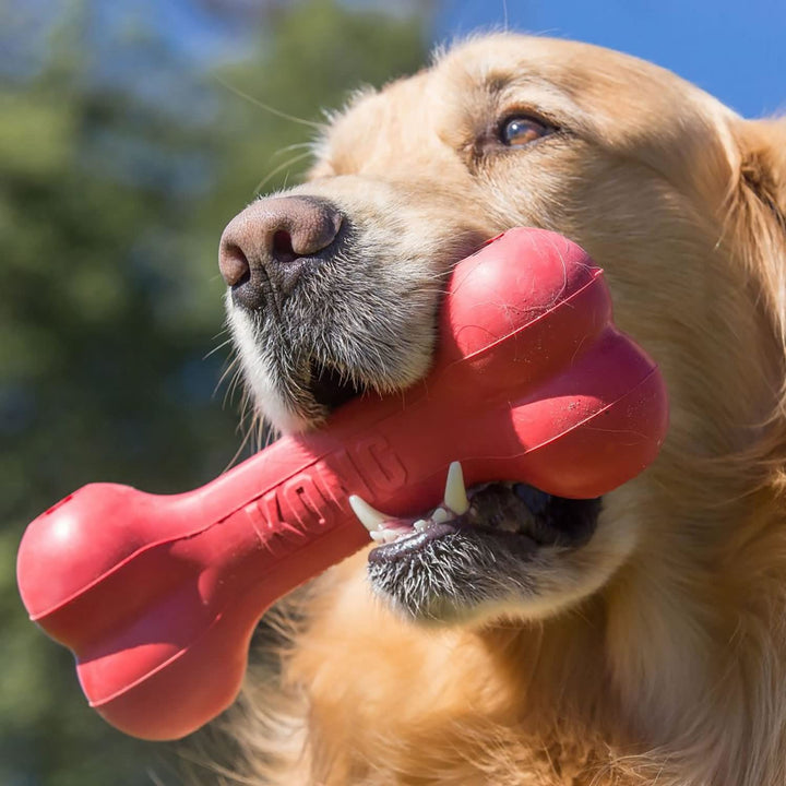 Goodie Bone - Classic Durable Natural Rubber Dog Bone, Supports Mental Engagement - Treat Dispensing - Red - for Large Dogs