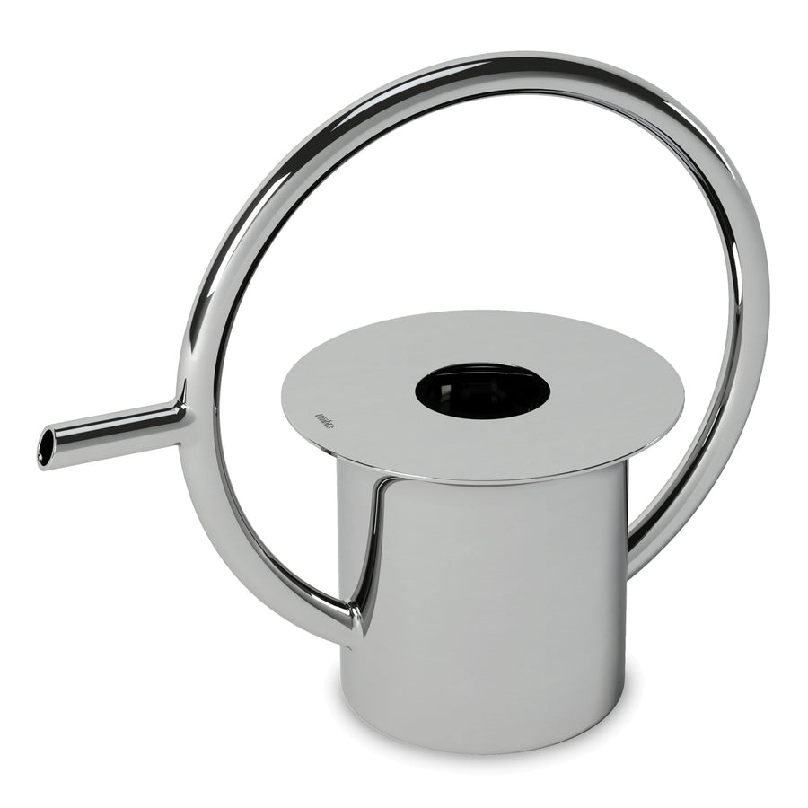 Quench Stainless Steel Watering Can, Pot for Outdoor or Indoor Plants, Medium