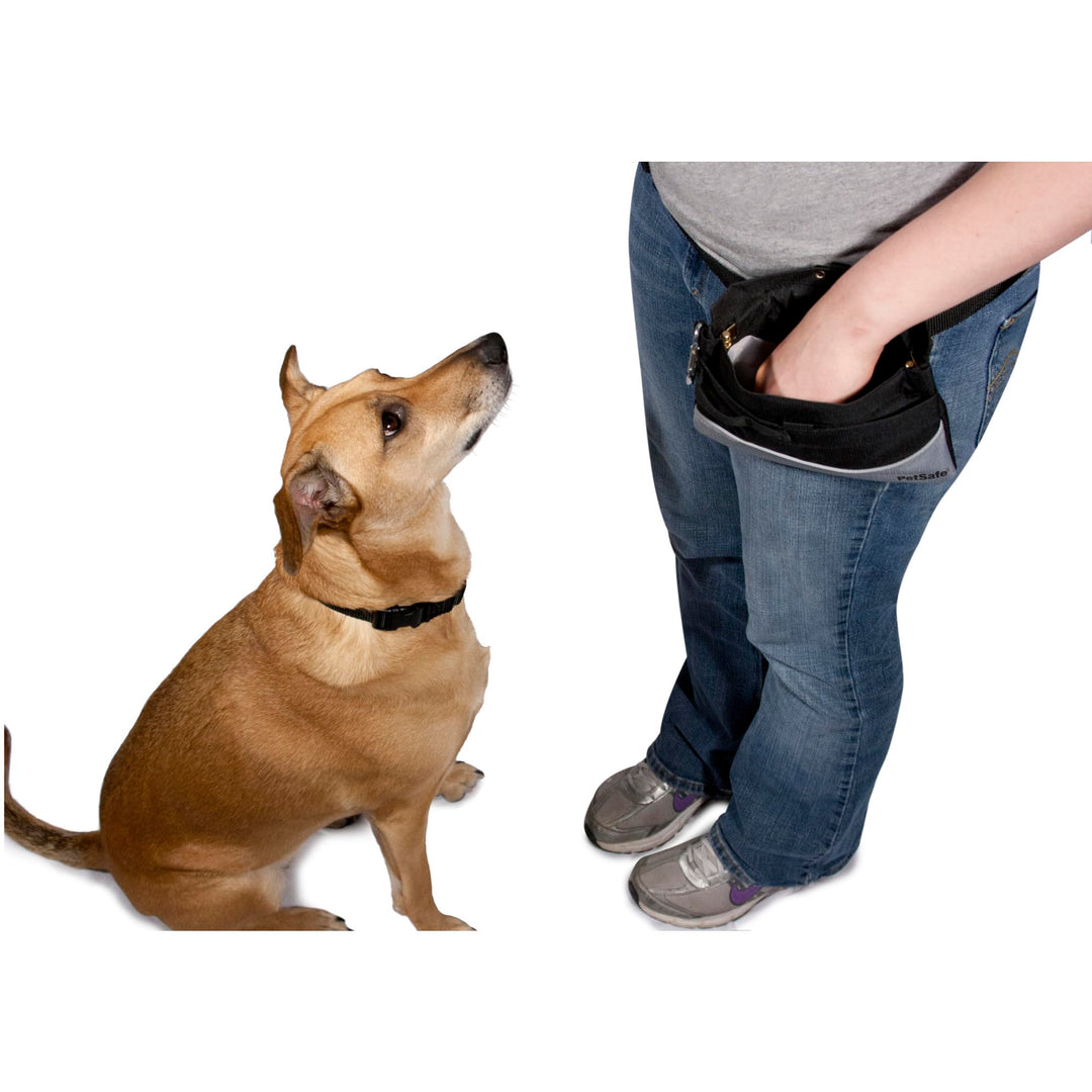 Treat Pouch Sport- Durable, Convenient Dog Training Accessory, Standard, Red