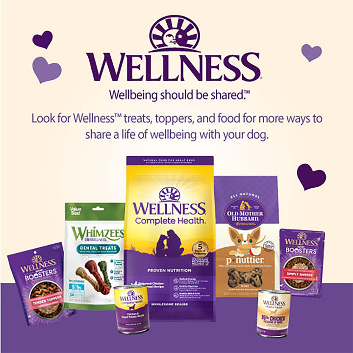 WellBars Dog Treats, Natural, Training Treat, Grain Free, Crunchy Yogurt, Apples & Banana (45 Ounce bag)