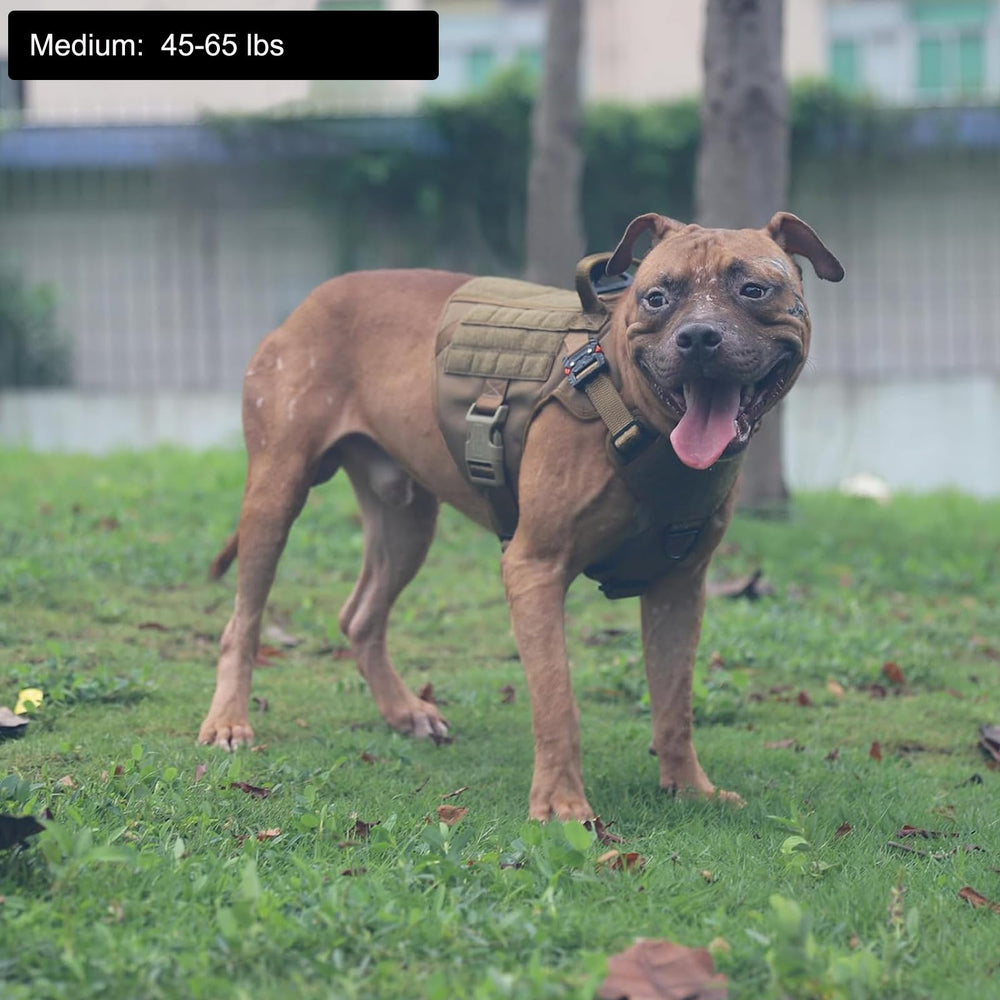 Tactical Dog Harness,Medium Size, 2X Metal Buckle,Working Dog MOLLE Vest with Handle,No Pulling Front Leash Clip,Hook and Loop Panel