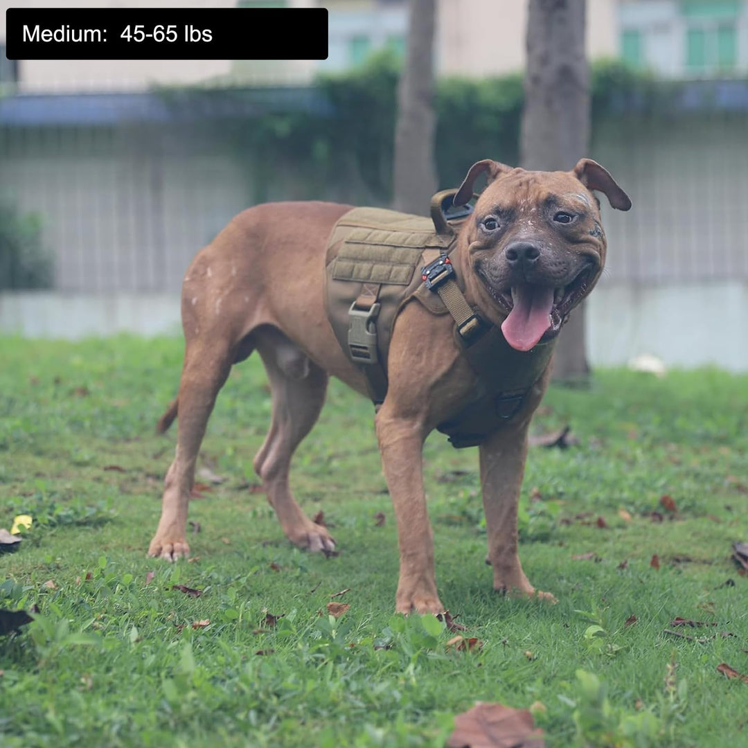 Tactical Dog Harness,Medium Size, 2X Metal Buckle,Working Dog MOLLE Vest with Handle,No Pulling Front Leash Clip,Hook and Loop Panel
