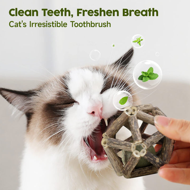 Catnip Toys, 3Pcs Cat Toys Natural Silvervine Stick Cage Balls & Bell Ball for Indoor Cats, Kitten Cleaning Teeth Molar Matatabi Cat Chew Toy All Breeds