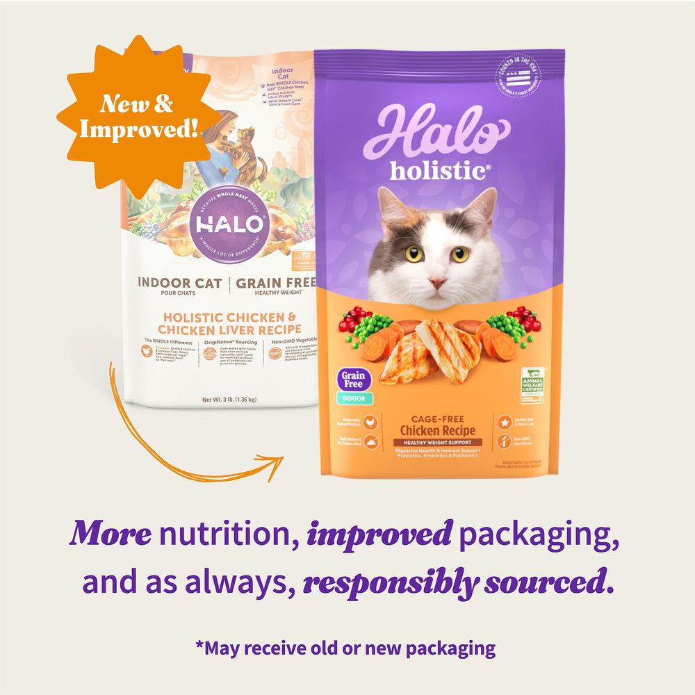 Holistic Cage Free Chicken Cat Food, Grain Free Dry Cat Food, For Healthy Weight Support, Kibble for Indoor Cats, 6 lb Bag