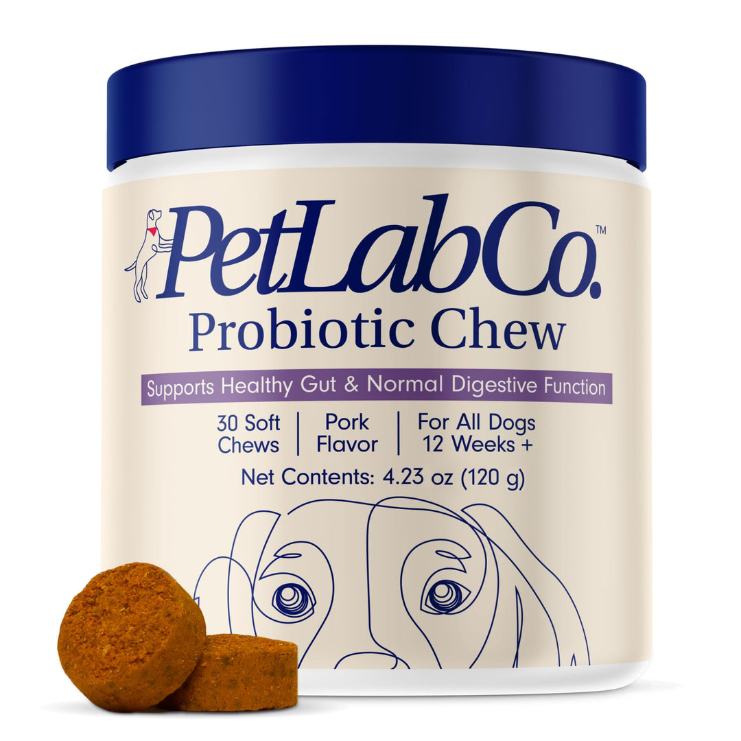 Probiotics for Dogs, Support Gut Health, Occasional Diarrhea, Digestive Health & Seasonal Allergies - Pork Flavor - 30 Soft Chews - Packaging May Vary