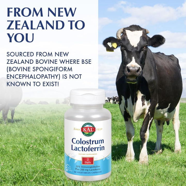 Colostrum Lactoferrin, 20% Immunoglobulins | Lactoferrin & Beta Glucan | Healthy Immune Support | 30 Serv | 60 Caps