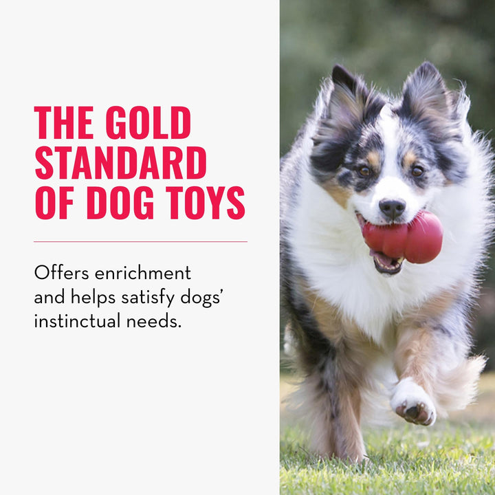 Classic Stuffable Dog Toy - Fetch & Chew Toy for Dogs - Treat-Filling Capabilities & Erratic Bounce for Extended Play Time - Durable Natural Rubber Material - for Small Dogs
