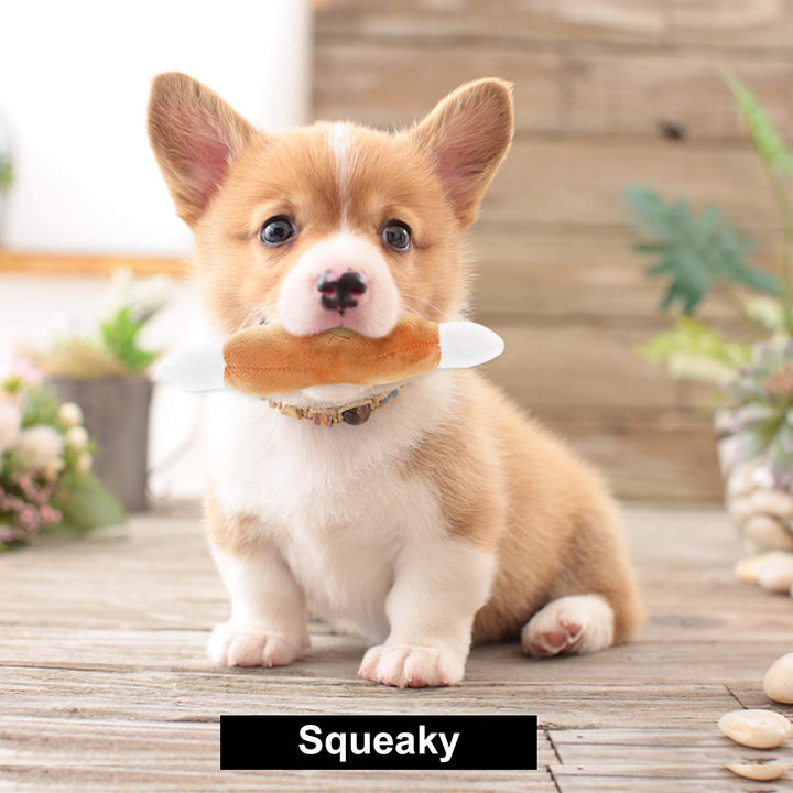 Dog Squeaky Toys, Plush Small Dog Toys for Dogs, Stuffed Dog Toys with Squeakers,12 pcs Puppy Toys with a Carrying Bag for Small Medium Size Dogs
