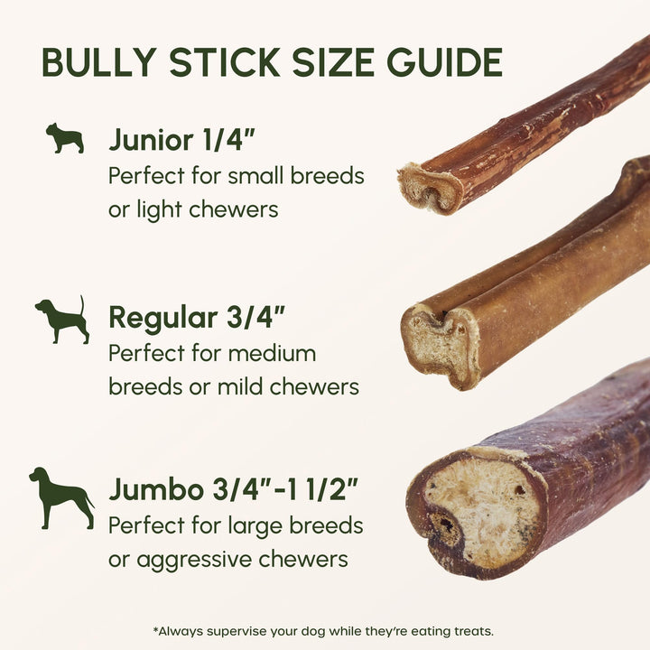 6-inch Bully Sticks for Dogs, Pack of 10 - Single Ingredient, Nutrient-Rich and Odor Free Bully Sticks for Dogs - Rawhide Free Dog Chews Long Lasting and Non-Splintering