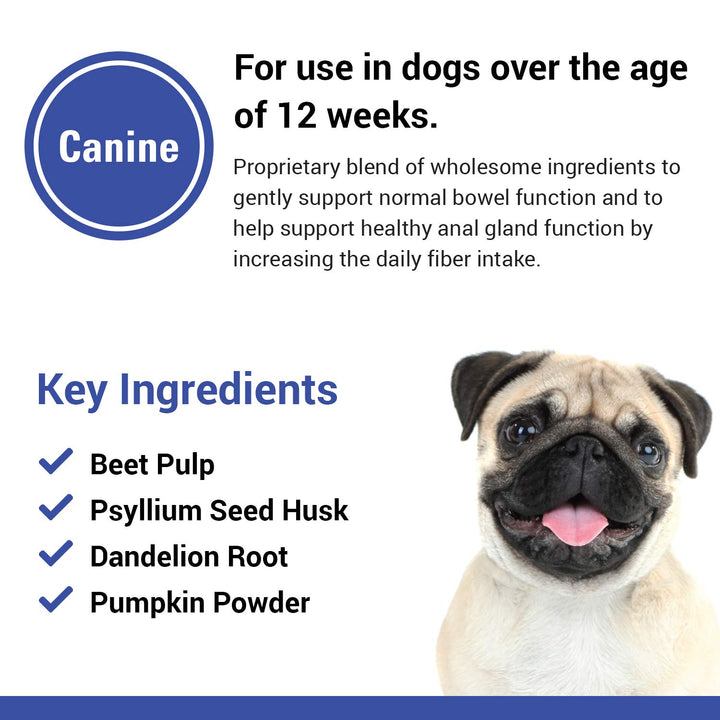 No Scoot Dog Supplements for Healthy Anal Gland Function – Support Normal Bowel Functions, Anal Glands – Increases Daily Fiber Intake for Dogs – 120 Soft Chews