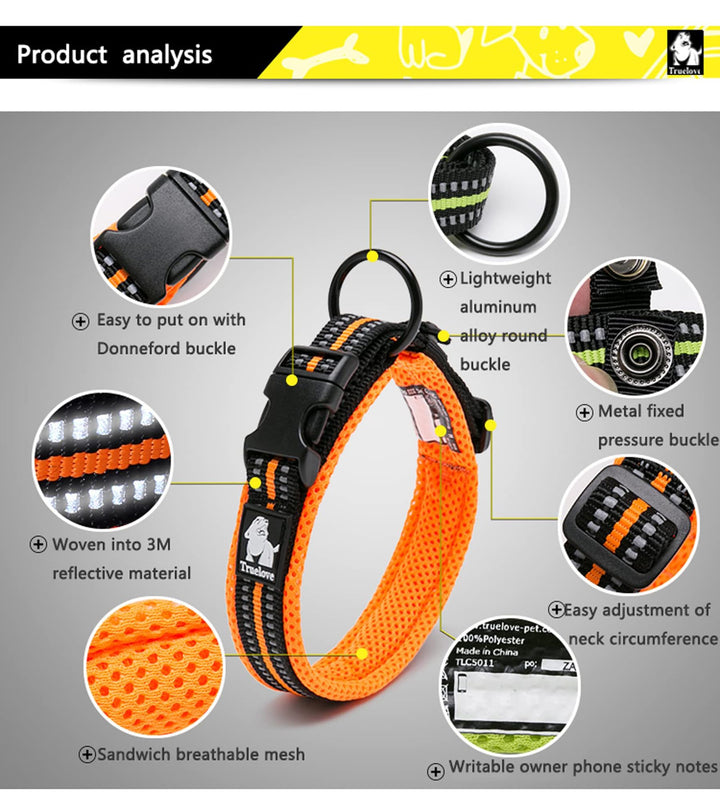 Truelove Dog Collar Reflective Premium Duraflex Buckle,High Grade Nylon Webbing No Choke Basic Collars TLC5011(Blue,M)