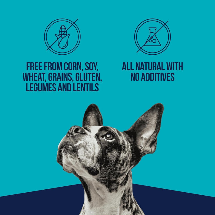 Single Ingredient Freeze Dried Raw Dog Treats, Wild Salmon, 9.5 Ounce Resealable Tub, Training Treats or Meal Topper for All Size Dogs, High Protein, Grain-Free, Gluten-Free