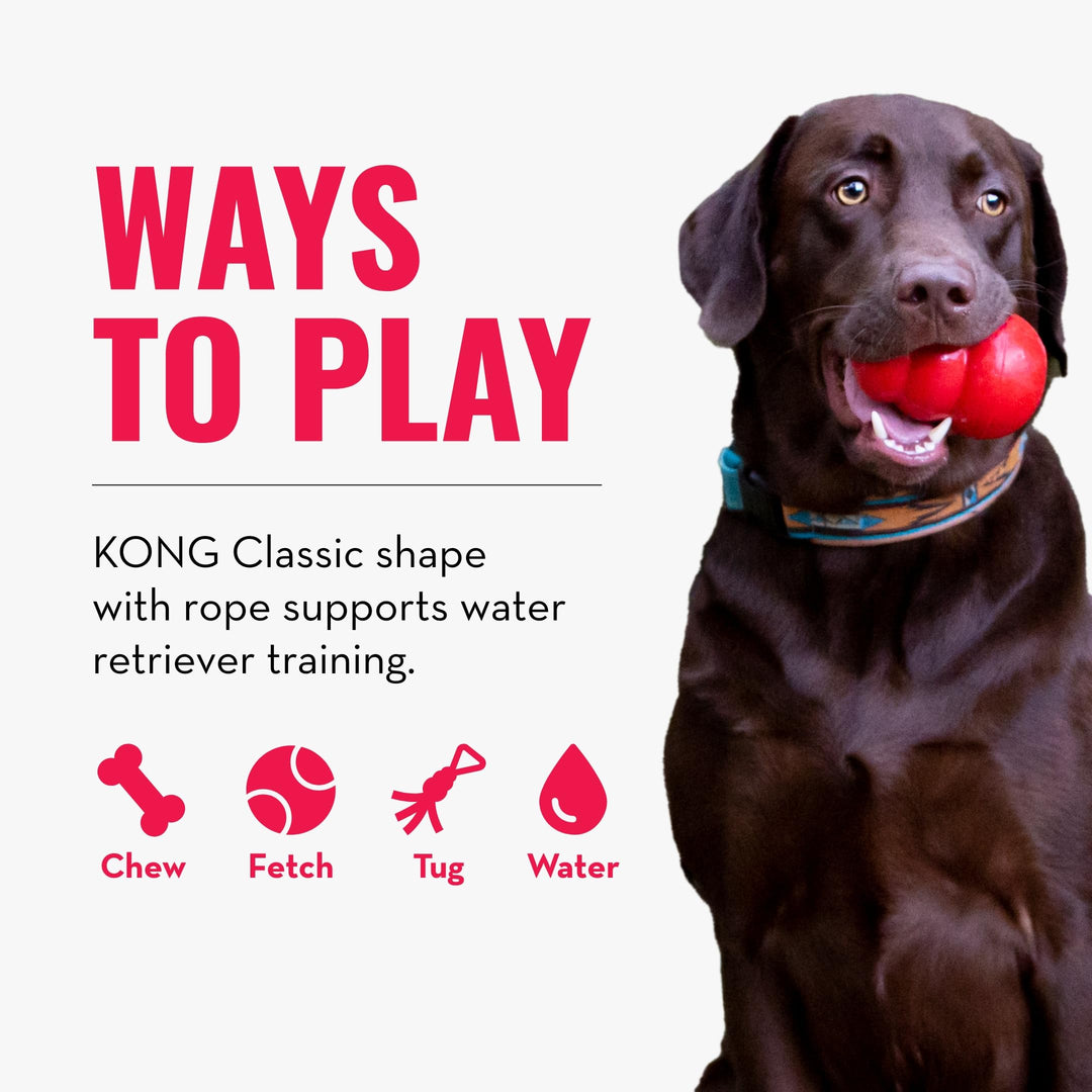 Aqua Floating Fetch Toy - Dog Floating Toy for Water Retrieval, Play, Exercise & More - Natural Rubber Dog Toy with Foam Interior & Rope for Farther Throwing - Orange, for Medium Dogs